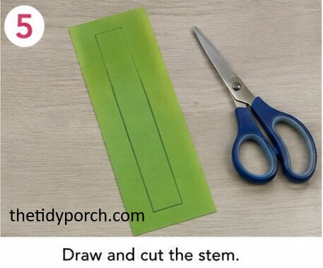draw and cut out the stem
