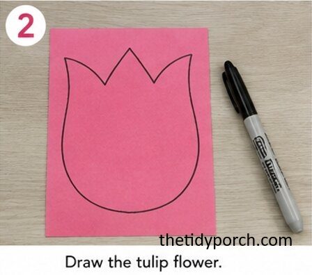 draw the tulip flower