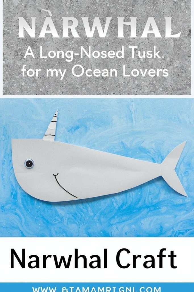 Narwhal Craft: A Long-Nosed N for Ocean Lovers