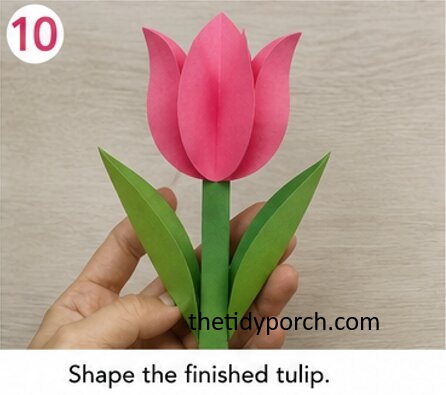 shape the finished tulip