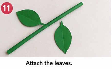 attach the leaves