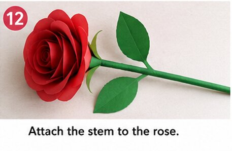 attach the stem to the rose