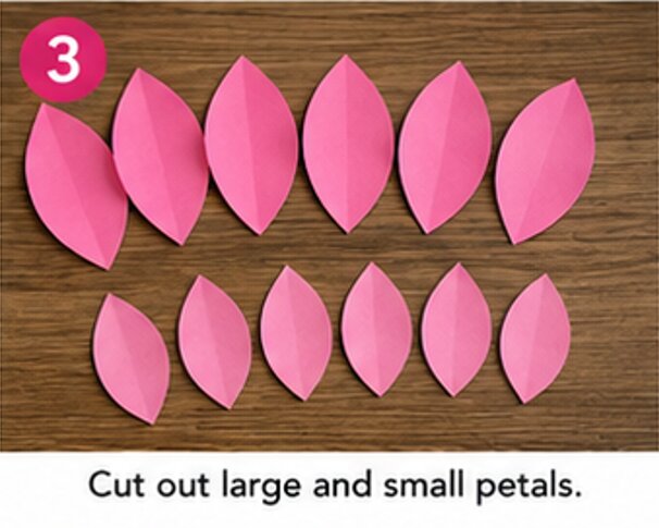 cut out large and small petals