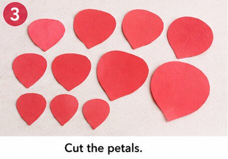 cut the petals