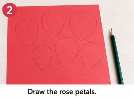 draw the rose petals