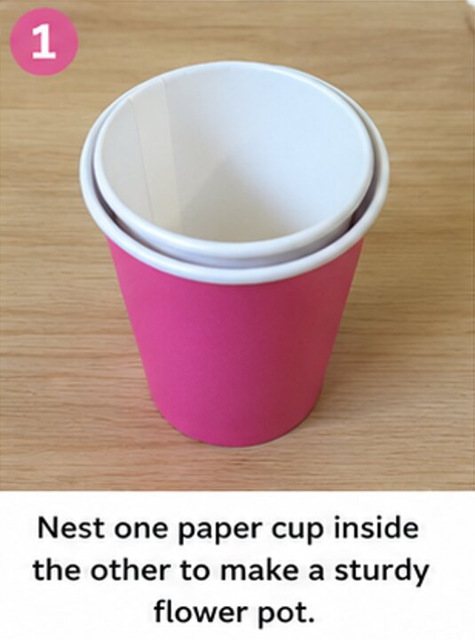 nest one paper cup inside the other to make a sturdy flower pot